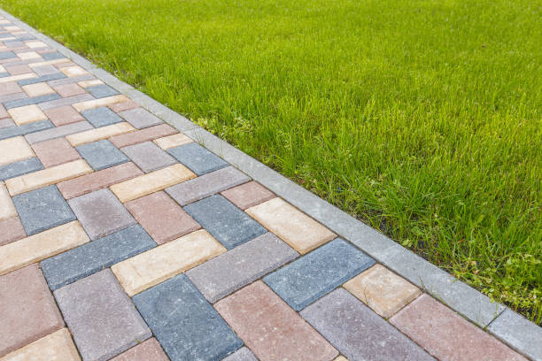 Best Driveway Paving Contractor  in Baxter, TN